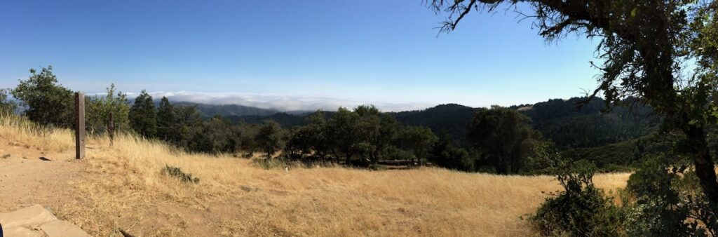 A panoramic photograph of Mount Tamalpais. The grass is brown and dusty, but green trees call attention to themselves in the background and right side of the photo.