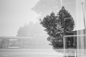a black and white double exposure of trees set perpendicular to each other. It has a hazy appearance.