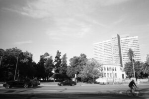 a black and white photograph of a block in Oakland, California. On the left side are trees that progress from dark to lighter, left to right. They transition to bright white building and then more dark trees.