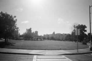 a black and white photograph of a park near Lake Merritt in Oakland, California. A handful of trees ring the park like a horseshoe, and buildings sit behind them.